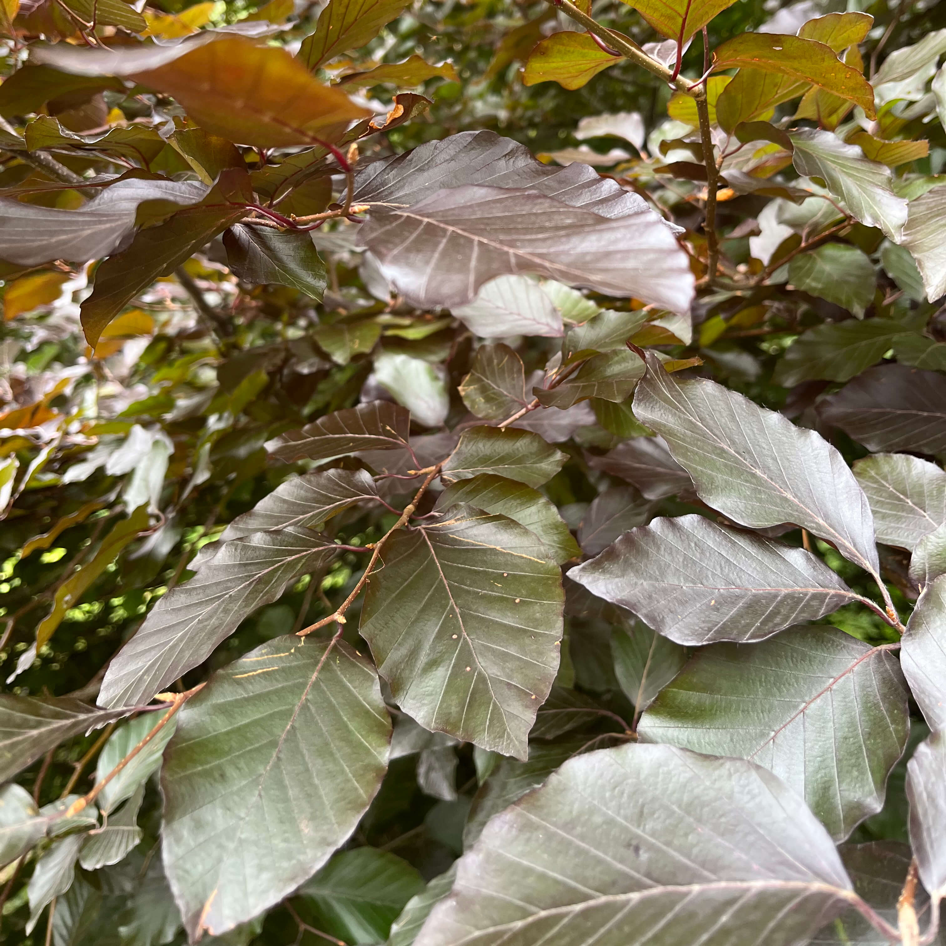 Le conte - Matière à sculpter